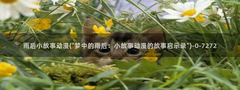动漫a片