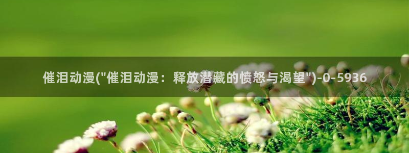 风车动漫网