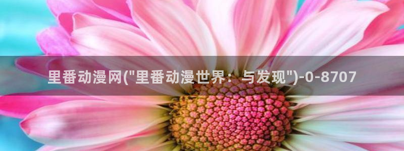 动漫免费观看