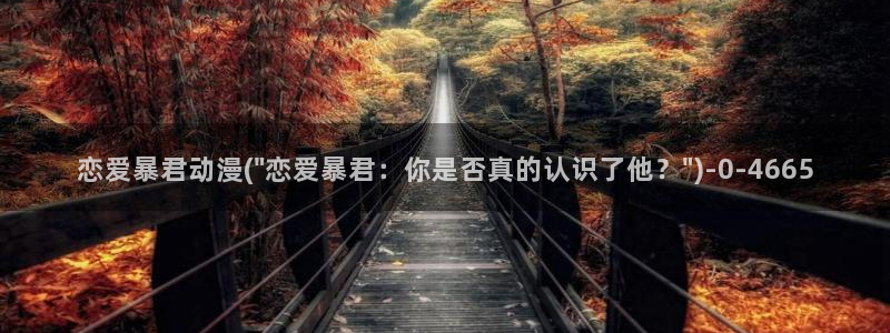 动漫主题曲